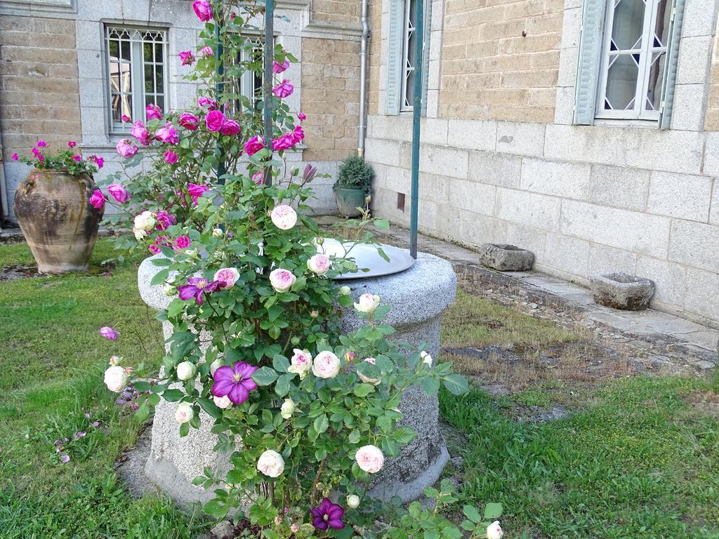 Chateau De Crocq - Chambres D'Hotes De Charme Exterior foto